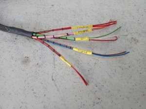 Honda Civic K20 préparée pour le slalom : faisceau moteur complet sur base Haltech Elite 550 - miniature 1