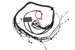 HT-130318 Elite 2000/2500 Toyota 2JZ Term Main Engine Harness only – Réf. HT-130318
