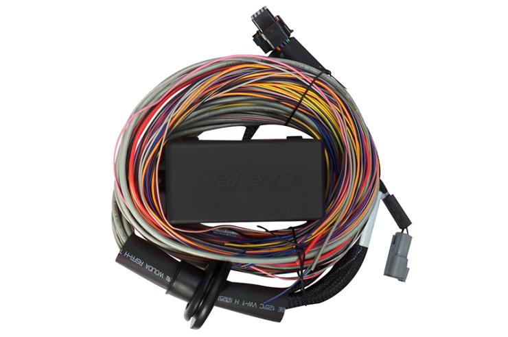 HT-140604 Elite 550 / 750 Premium Universal Wire-in Harness 2.5m (8) Length: 2.5m (8) – Réf. HT-140604