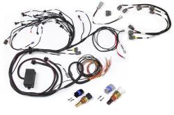 HT-141231 RB Twin CAM Main Harness, CAS Breakout, Late Ignition – Réf. HT-141231