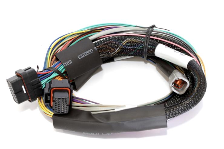 HT-141302 Elite 1500, 2500 - 2.5m (8 ft) Basic Uni Wire-in Harness Only Length: 2.5m (8) – Réf. HT-141302