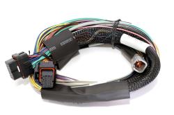 HT-141302 Elite 1500, 2500 - 2.5m (8 ft) Basic Uni Wire-in Harness Only Length: 2.5m (8) – Réf. HT-141302