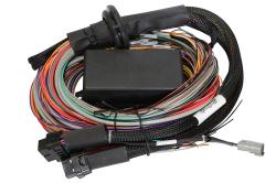 HT-141306 Elite 1500, 2500 & 2500 T Premium Universal Wire-in Harness  Length: 3m (9.8) Length: 3M (9.8) – Réf. HT-141306
