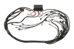 Elite 2000/2500 GM GEN III LS1 non DBW Term Harness Only EV1 – photo 4