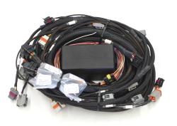 HT-141362 Elite 2500 GM GEN III LS1 (DBW Ready) Term Harn Only - EV1 – photo 2