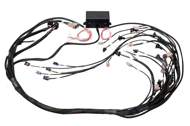 HT-141362 Elite 2500 GM GEN III LS1 (DBW Ready) Term Harn Only - EV1 – Réf. HT-141362