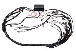 HT-141362 Elite 2500 GM GEN III LS1 (DBW Ready) Term Harn Only - EV1 – Réf. HT-141362