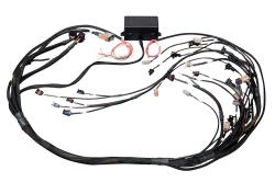 Elite 2000/2500 GM GEN IV LS2 non DBW Term Harness Only EV1 – Réf. HT-141364