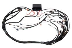 HT-141367 Elite 2500 GM GEN IV LS2 DBW Ready Term Harn Only - EV6 – Réf. HT-141367