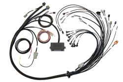 HT-141376 Elite 2500/2500 T V8  GM, Ford & Chrysler Term Harn Only EV1 – Réf. HT-141376