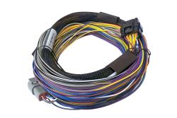 Elite 550 + Basic Universal Wire-in Harness Kit 2.5m (8â€™) Length: 2.5m (8) – photo 4