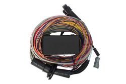 Elite 550 + Premium Universal Wire-in Harness Kit 2.5m (8â€™) Length: 2.5m (8) – photo 4