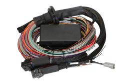 Haltech Elite 1500 + Premium Uni Wire-in faisceau Kit 2.5m (8â€™) – photo 5