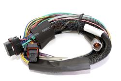 Haltech Elite 2500 + Basic universel Wire-in faisceau Kit 2.5m (8â€™) – photo 2