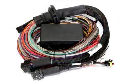 Haltech Elite 2500 + Premium Uni Wire-in faisceau Kit 2.5m (8â€™) – photo 2