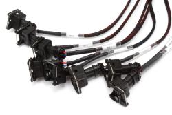 Elite 2500 GM GEN III LS1 non DBW Terminated Harness Kit EV1 – photo 4