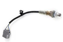 WB1 NTK - Single Channel CAN O2 Wideband Controller Kit Length: 1.2M (4ft) – photo 3