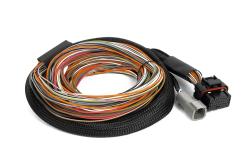Haltech IO16 universel Wire in faisceau 2.6M (8.5') – photo 2