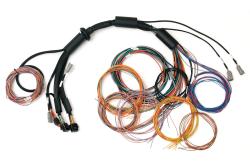 Nexus R3 Universal Wire-in Harness - 2.5m (8) Length: 2.5M – photo 2