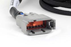 Haltech Nexus Universal V8 - Junior Timer (EV1) injecteur Primary Breakout – photo 2