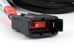 Haltech Nexus V8 Junior Timer (EV1)Secondary injecteur Breakout – photo 2