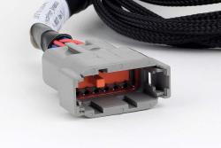 Haltech Nexus V8 GT150 (USCAR) injecteur Primary Breakout – photo 2