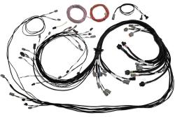 HT-186200 Universal V8 Terminated Engine Harness for Nexus R5 VCU – Réf. HT-186200