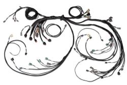 HT-186205 Nexus R5 LSx DBW Terminated Harness – Réf. HT-186205