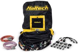 Nexus R5 LSx DBW Terminated Harness – photo 2