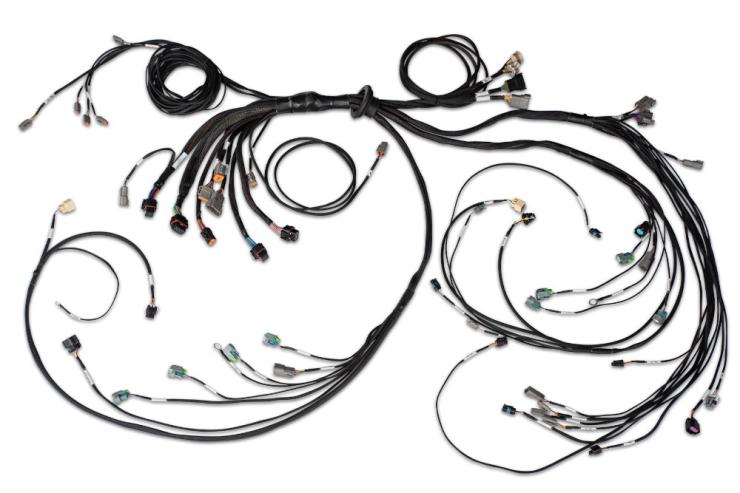 Nexus R5 LSx DBW Terminated Harness – Réf. HT-186205