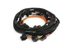 Haltech Nexus Rebel JZ - Main Terminated faisceau – photo 2