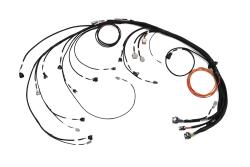 Nexus Rebel JZ - Main Terminated Harness – photo 3