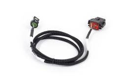 Haltech Nexus Rebel LS - T56 Transmission faisceau – photo 2