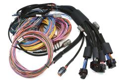 Nexus R5 + Universal Wire-in Harness Kit - 5M (16) Length: 5m (16) – photo 2
