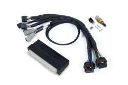 Haltech Nexus S2 Plug 'n' Play Adapter faisceau Kit - Honda DC5 – photo 3
