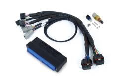 Haltech Nexus S3 Plug 'n' Play Adapter faisceau Kit - Nissan Silvia S14 S1 ZENKI – photo 3