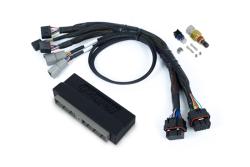 Haltech Nexus S3 Plug 'n' Play Adapter faisceau Kit - Nissan Skyline R34 GTT – photo 3