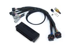 Haltech Nexus S3 Plug 'n' Play Adapter faisceau Kit - Subaru GDB WRX MY01-05 – photo 3