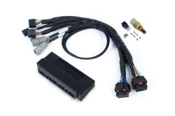 Haltech Nexus S3 Plug 'n' Play Adapter faisceau Kit - Honda S2000 AP1 / AP2 – photo 3