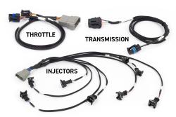 Haltech Rebel LS Kit - compatible avec Gen III - Cable throttle, EV1, Manual Transmission – photo 2