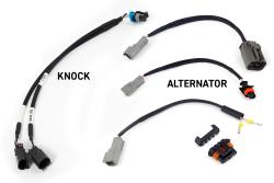 Haltech Rebel LS Kit - compatible avec Gen III - Cable throttle, EV1, Manual Transmission – photo 3