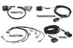Haltech Rebel LS Kit - compatible avec Gen IV - 6-pin DBW, EV6 Injectors , Manual Transmission – photo 2
