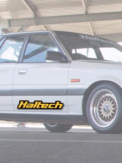 Haltech Sticker 600mm - Colour – photo 3