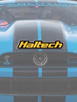 Haltech Sticker 600mm - Colour Size: 600mm (24") – photo 2