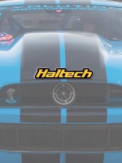 Haltech Sticker 400mm - Colour Size: 400mm (16") – photo 2