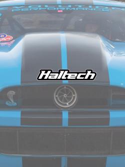 Haltech Sticker 400mm - Black & White Size: 400mm (16") – photo 2